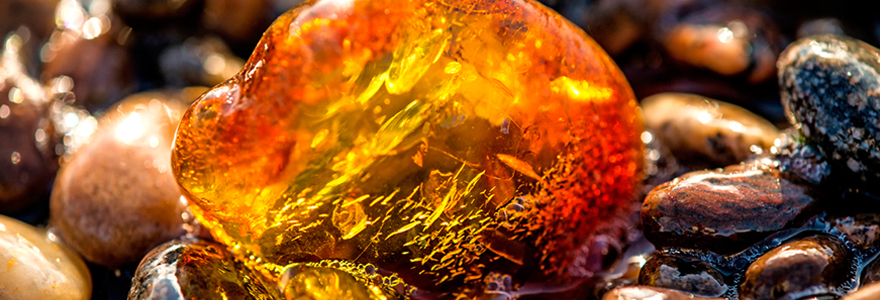 Ambre